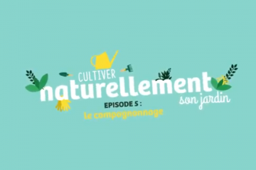 [Ep 5] Cultiver naturellement son jardin - Les bienfaits du compagnonnage