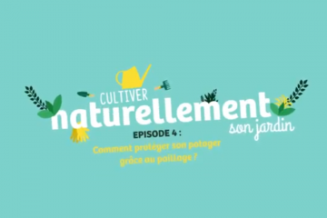 [Ep4] Cultiver naturellement son jardin - Protéger son potager grâce au paillage