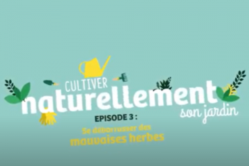 [Ep 3] Cultiver naturellement son jardin - Se débarrasser des mauvaises herbes