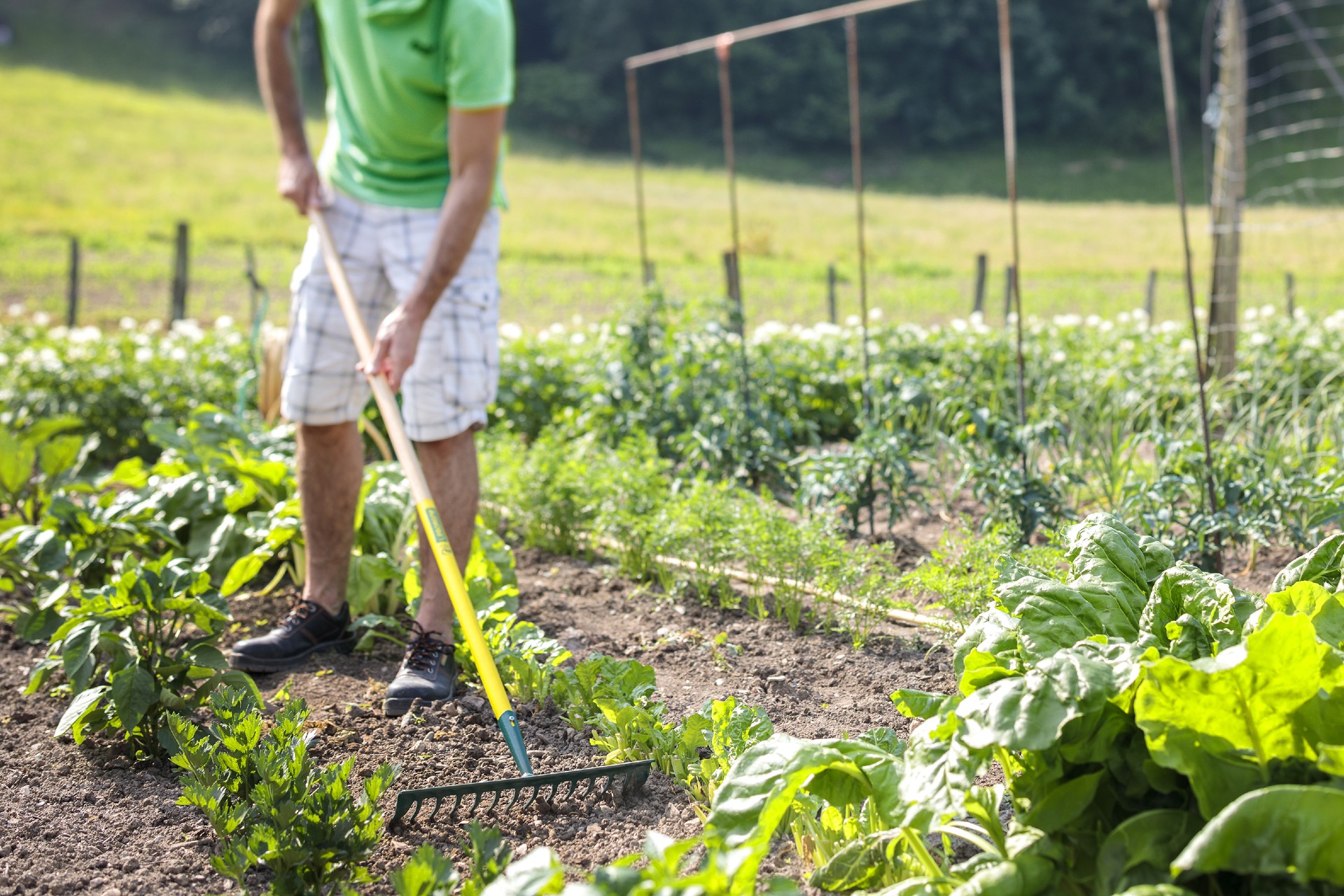 Communauté de jardiniers sans pesticides Leborgne