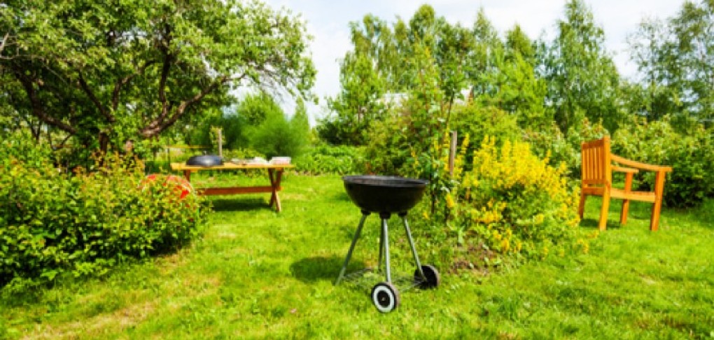 Entretenir son jardin pendant l’été : les conseils et outils Leborgne