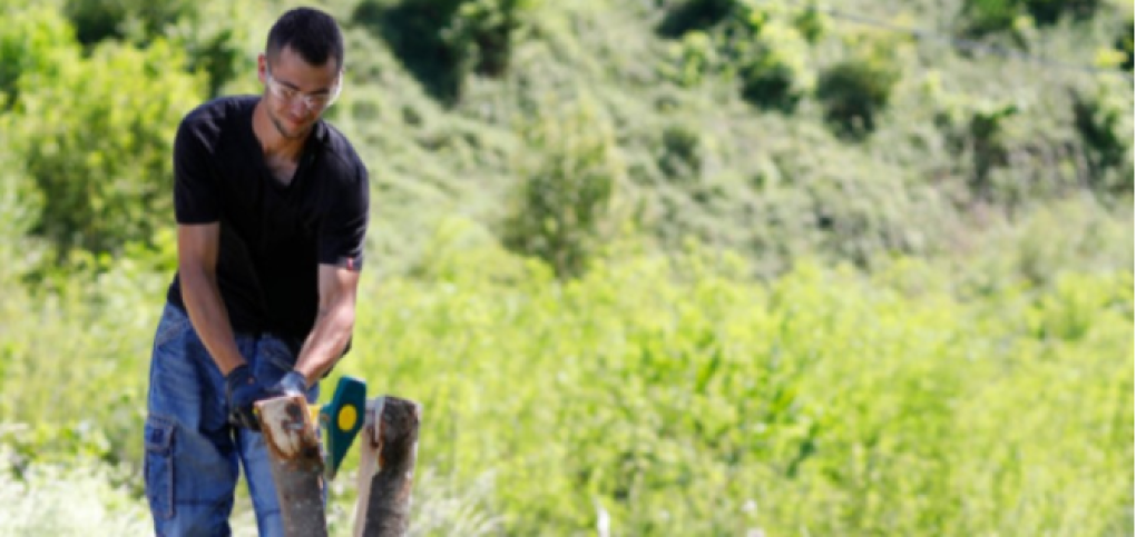 Réussir sa coupe de bois en toute sécurité